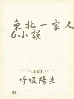 东北一家人1一6小说
