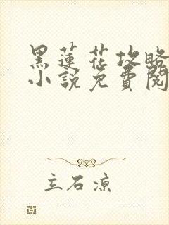 黑莲花攻略手册小说免费阅读封面