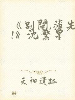 《别闹,薄先生!》沈繁星封面