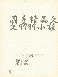 国产精品久久久久9999小说