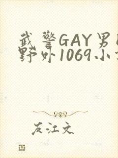 武警GAY男同野外1069小说封面