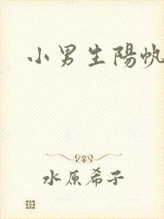 小男生阳帆封面