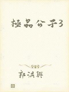 极品公子3