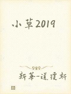 小草2019