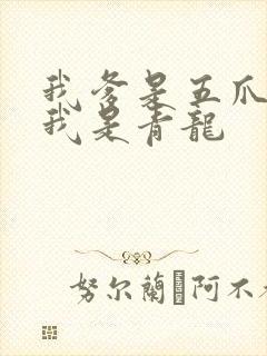 我爹是五爪金龙我是青龙