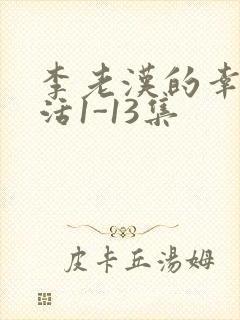 李老汉的幸福生活1-13集封面