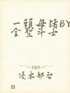 一头母猪BY黄金圣斗士封面