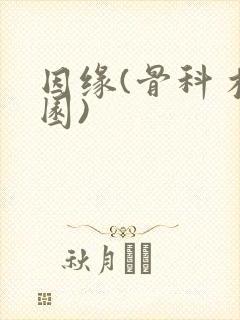 因缘(骨科 校园)