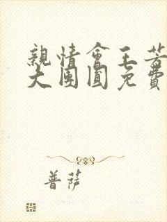 亲情会王芳高敏大团圆免费阅读封面