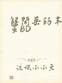 解开岳的丰满奶罩BD