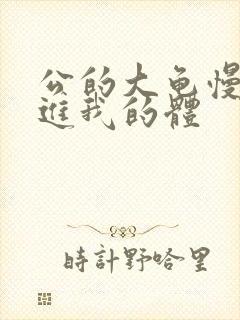 公的大龟慢慢挺进我的体