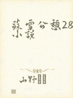 苏雪公憩28篇小说