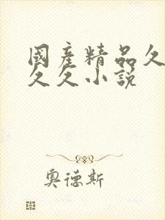 国产精品久久久久久小说