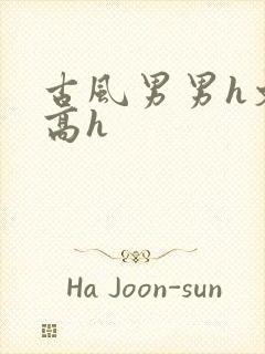 古风男男h文肉高h封面