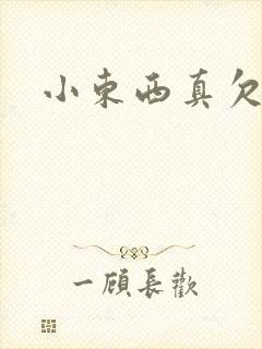 小东西真欠弄封面