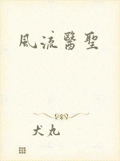 风流医圣封面