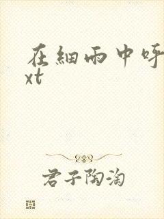 在细雨中呼喊txt