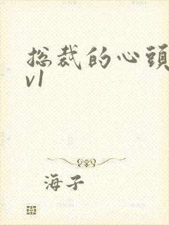 总裁的心头宝1v1