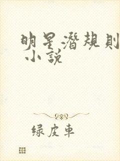 明星潜规则之皇 小说封面