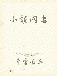 小说网名