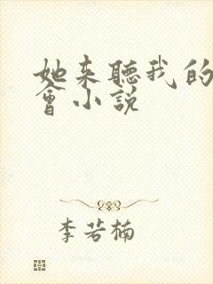 她来听我的演唱会小说封面