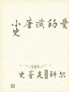 小唐璜的爱情历史