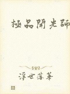 极品开光师