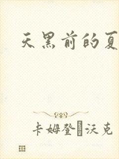 天黑前的夏天