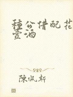 种公借配花间一壶酒