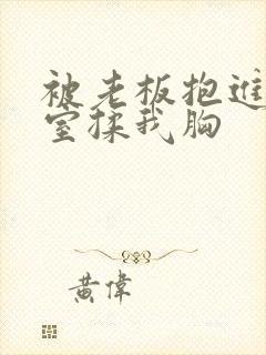 被老板抱进办公室揉我胸封面