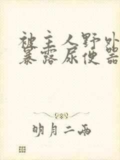 被主人野外调教暴露尿便器封面