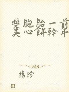 双胞胎一前一后夹心饼干年下