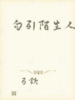 勾引陌生人封面