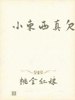 小东西真欠弄封面