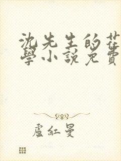 沈先生的花式教学小说免费封面