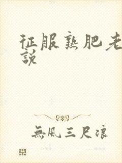 征服熟肥老妇小说封面