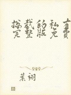 总裁的私有宝贝完整版免费阅读