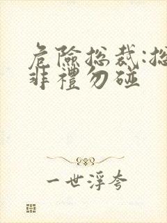 危险总裁:总裁非礼勿碰封面