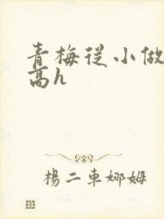 青梅从小做到大高h