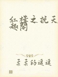 红楼之挽天倾笔趣阁封面