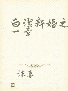 白洁新婚之夜第一章封面