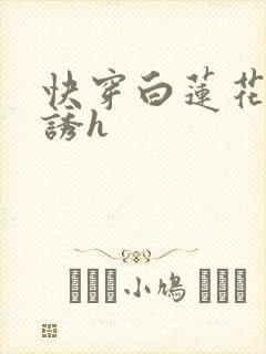 快穿白莲花的引诱h