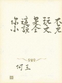 你这是玩不起呀小说全文免费阅读封面