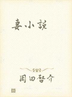 妻小说