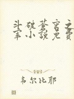 斗破苍穹之大主宰小说免费阅读全文