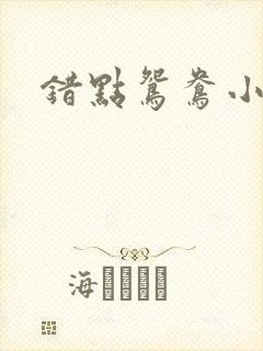 错点鸳鸯小说