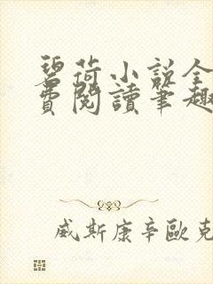 碧荷小说全文免费阅读笔趣阁