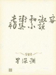 老卫和淑容1-40集小说