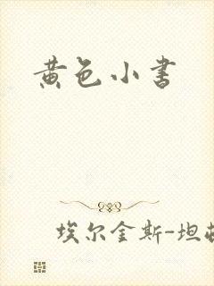 黄色小书封面