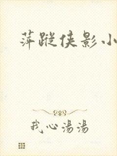 萍踪侠影小说封面